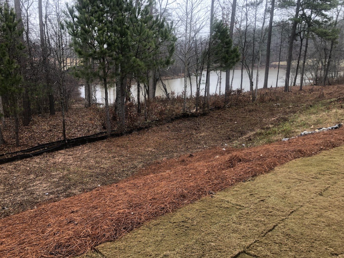 Slope cleared and mulched after removal