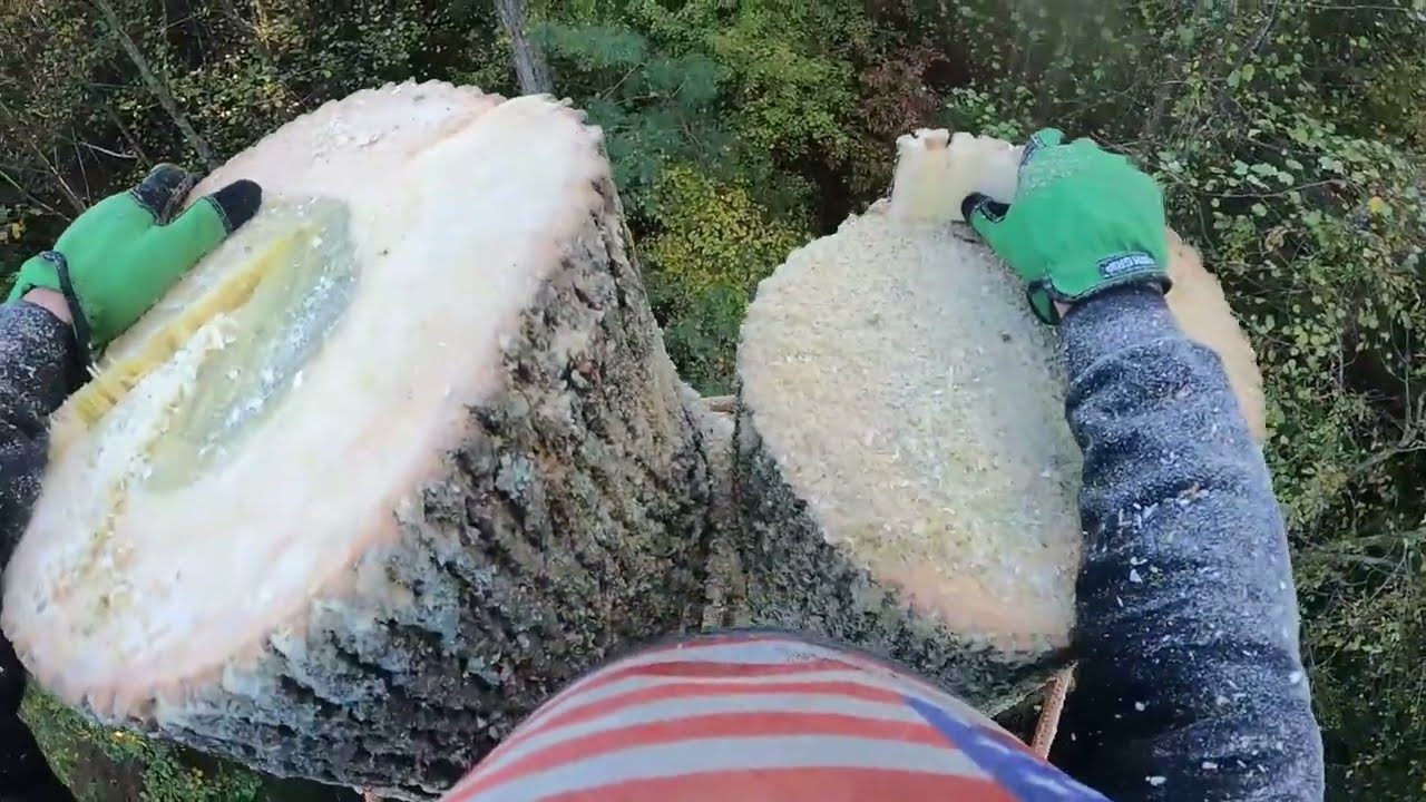 Rounds cut and ready to haul