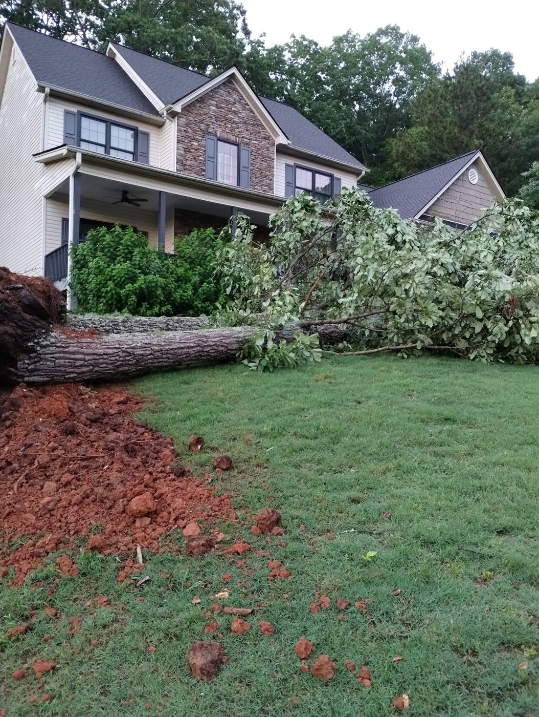 Large tree taken down next to a home