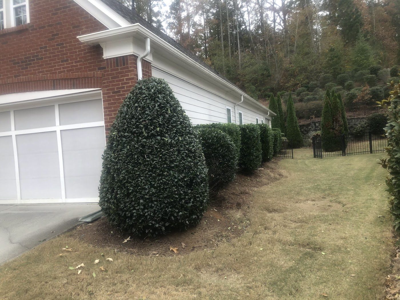 Clean yard after the job